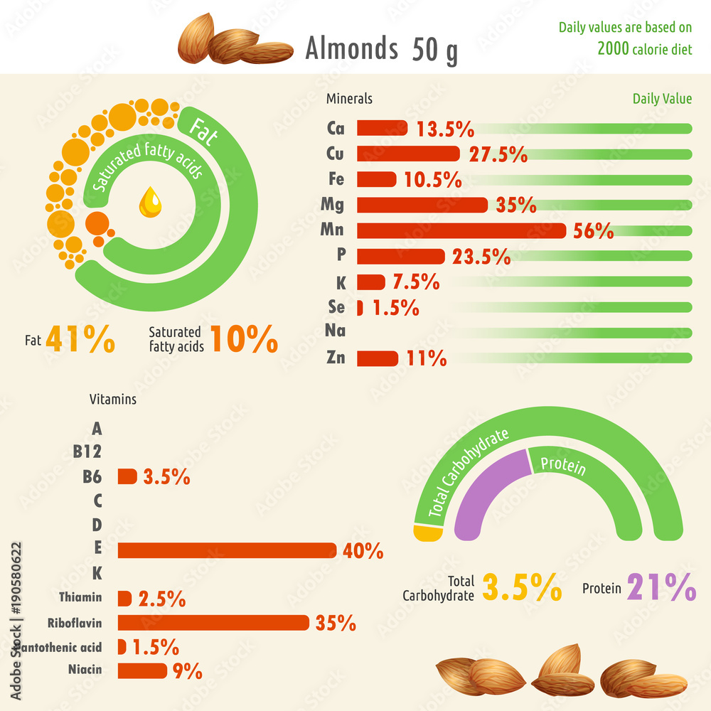 Infographic of almonds nutritional value / Infographic illustration of