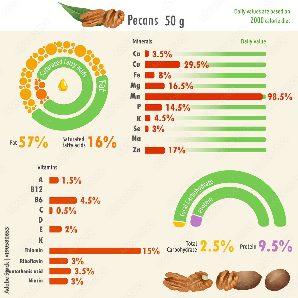 Infographic of pecan nutritional value / Infographic illustration of