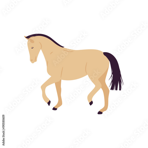 Cartoon horse vector illustration. Flat style isolated pony.