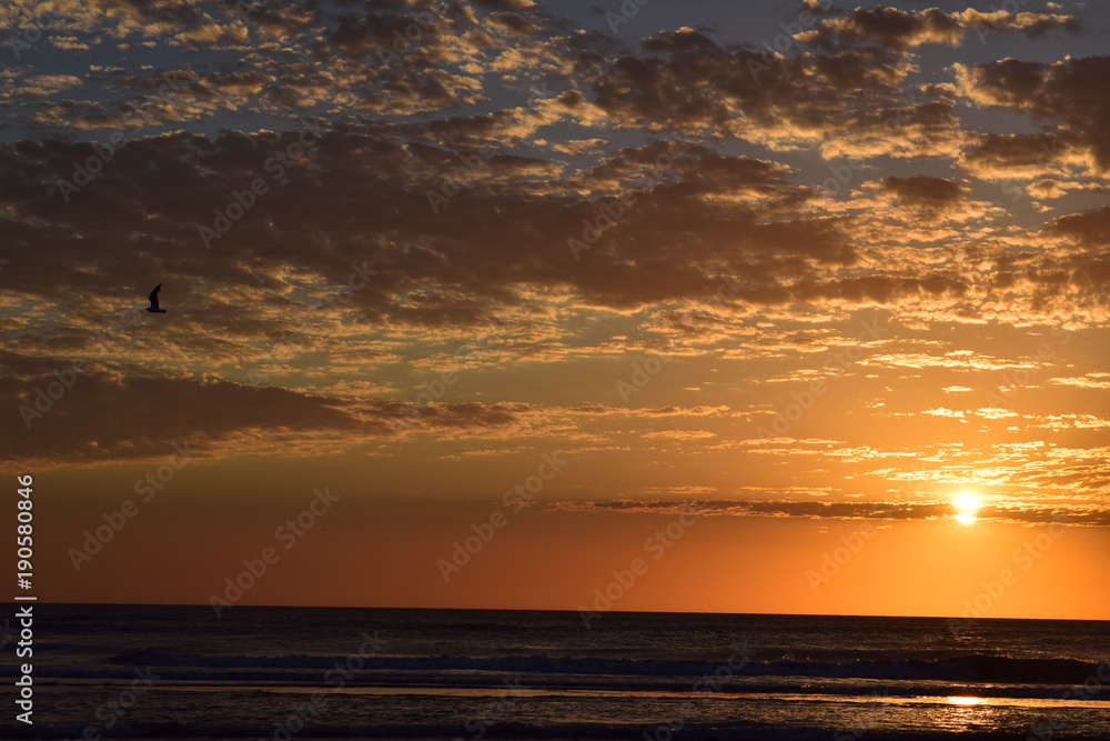 Fototapeta premium Sea