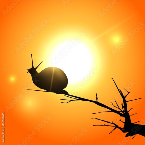 illustrazione vettoriale -  silhouette di lumaca al tramonto