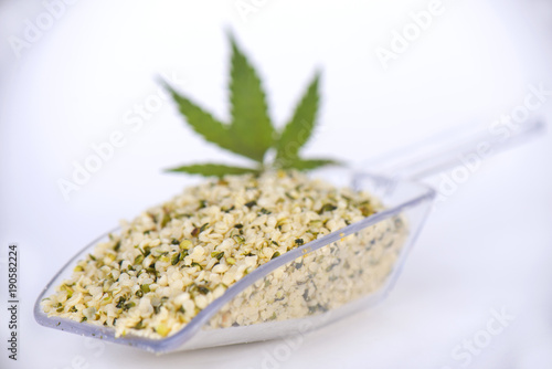 Scooper with a bunch of hulled edible hemp seeds photo