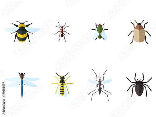 Set of 8 insects flat icons