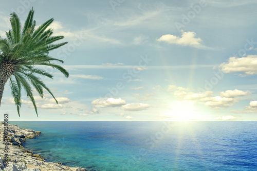 Beach palm and sea on a sunny day. © Denis Rozhnovsky