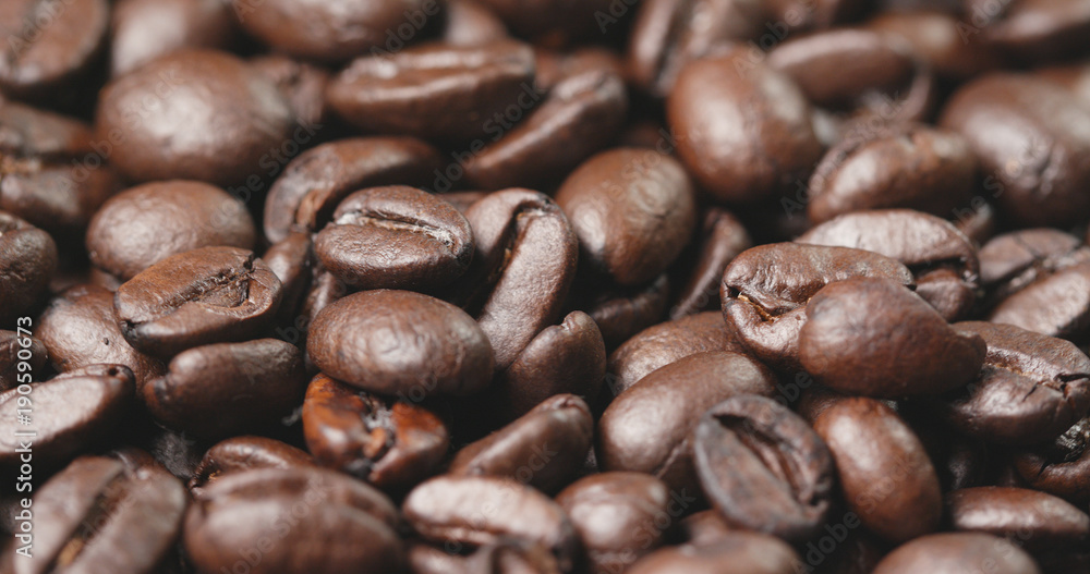 Coffee bean texture Coffee bean texture