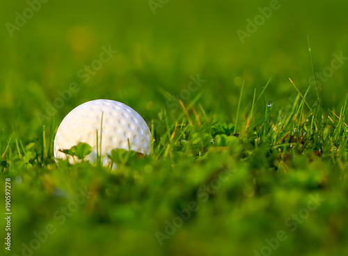 golf ball on sports golf course close-up, on blurred background