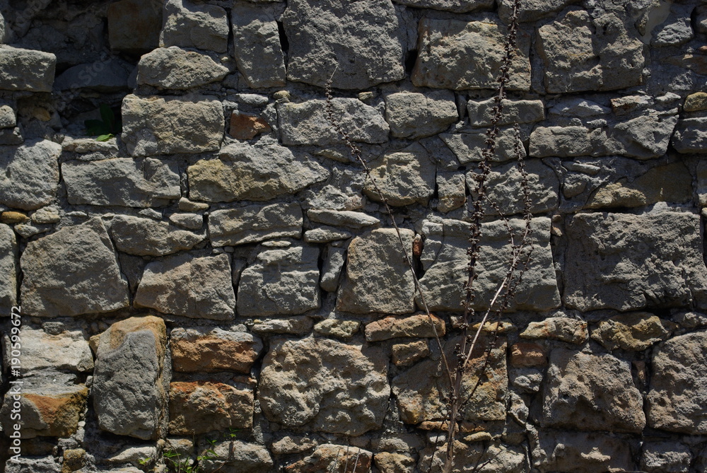 Fototapeta premium How long has this wall been here..?