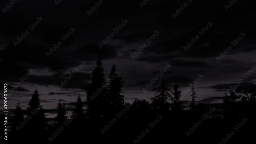 Forest Night Timelapse Forest Night Timelapse