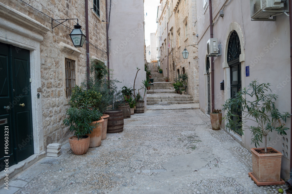 Obraz premium Picturesque Alley in Dubrovnik, Croatia