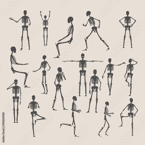 Human skeleton collection. Halloween party design. Silhouettes in various poses