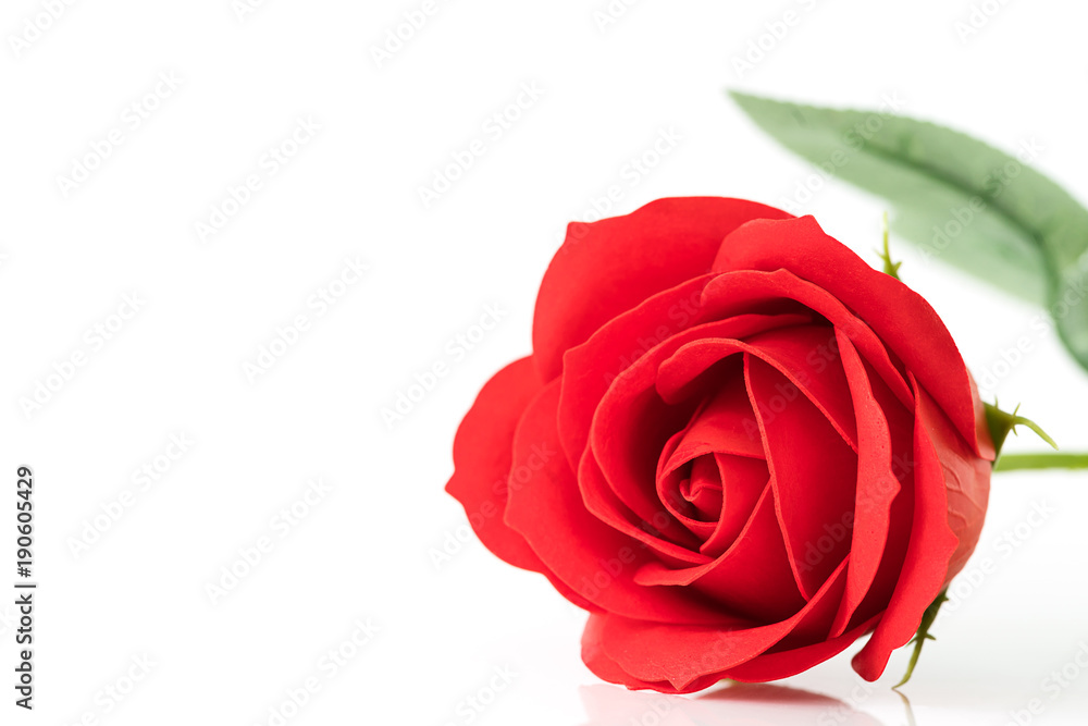 Single Red plastic fake roses on white Single Red plastic fake roses on white
