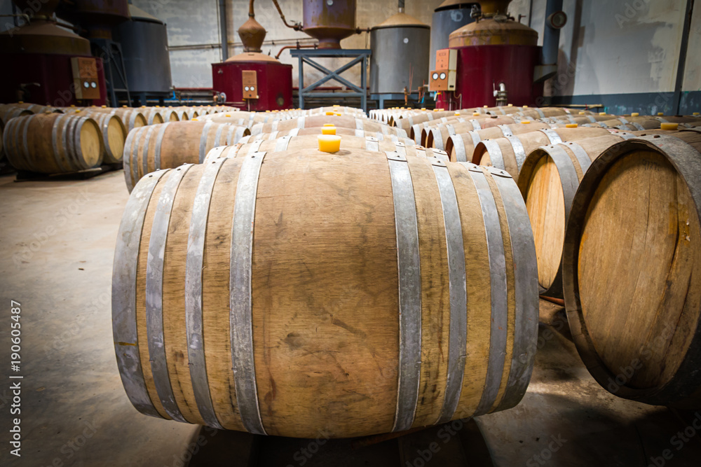 Wine barrels in the cellar of the winery Wine barrels in the cellar of the winery