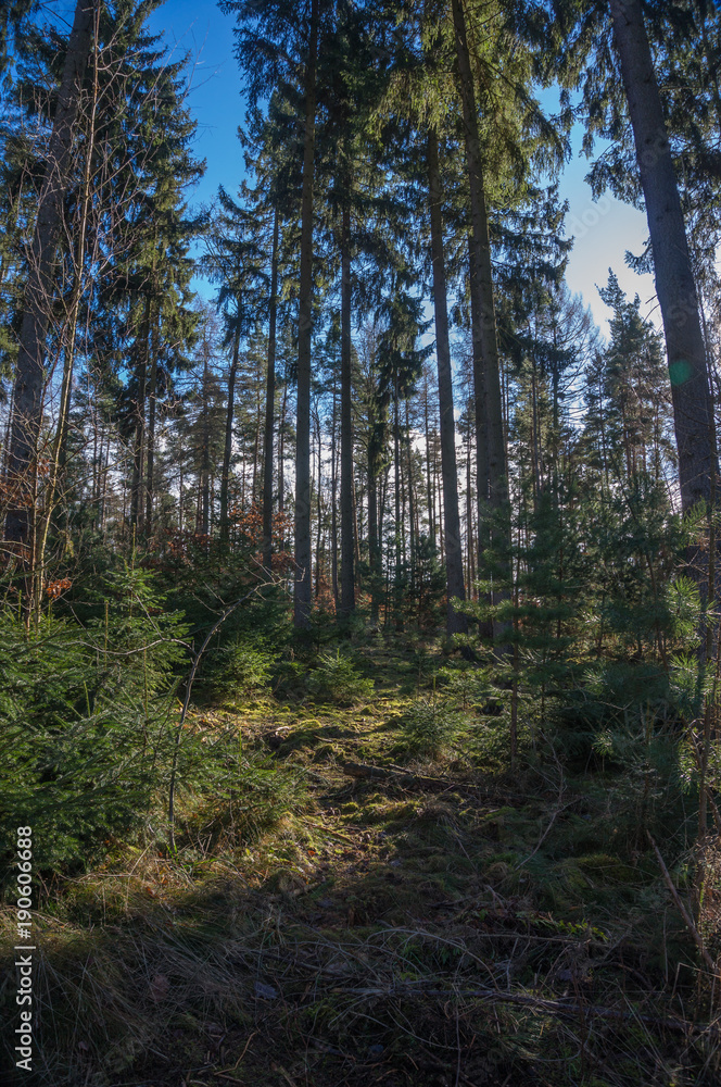 Landschaft im Frühjahr Landschaft im Frühjahr