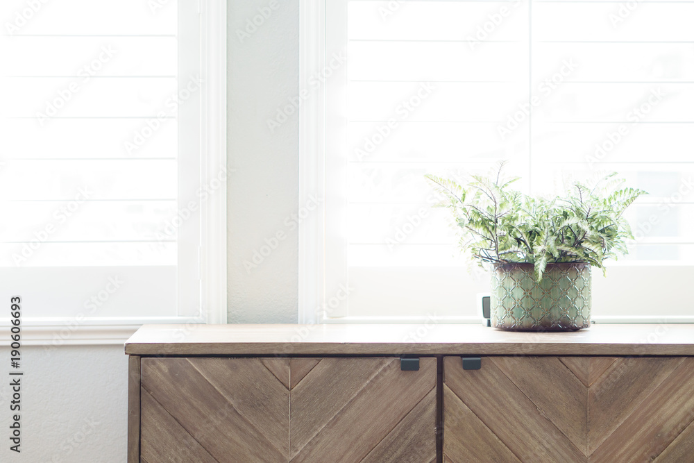 plant on dresser with window light