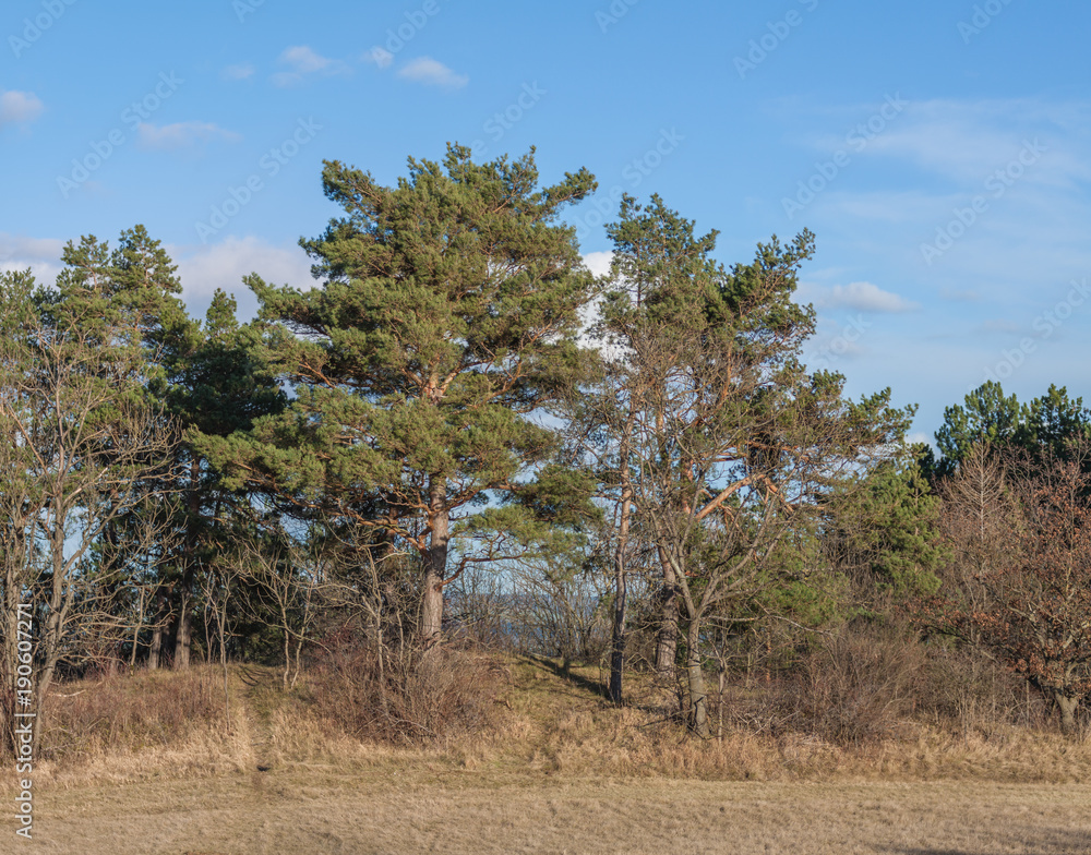 Landschaft im Frühjahr Landschaft im Frühjahr