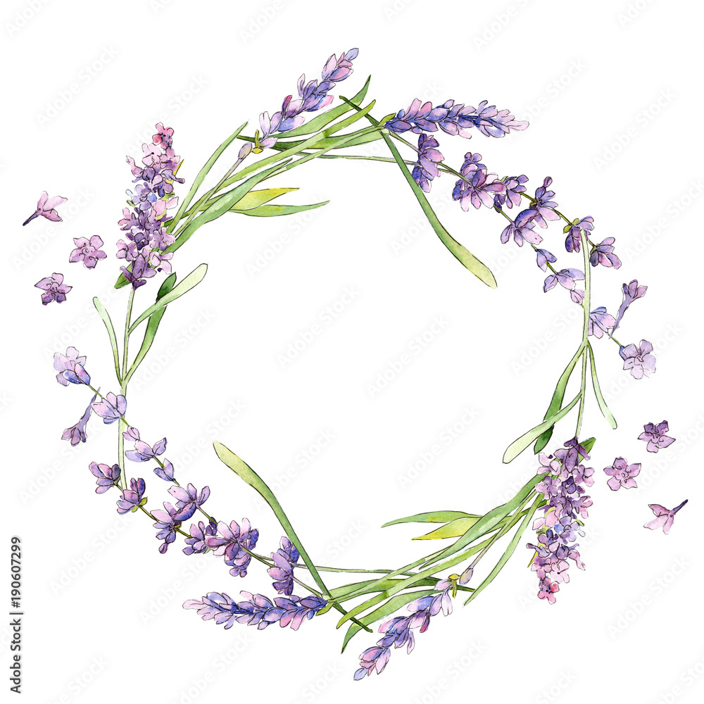 Wildflower lavender flower wreath in a watercolor style isolated. Full name of the plant: lavender. Aquarelle wild flower for background, texture, wrapper pattern, frame or border. Wildflower lavender flower wreath in a watercolor style isolated. Full name of the plant: lavender. Aquarelle wild flower for background, texture, wrapper pattern, frame or border.