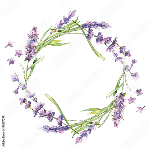 Wildflower lavender flower wreath in a watercolor style isolated. Full name of the plant: lavender. Aquarelle wild flower for background, texture, wrapper pattern, frame or border.