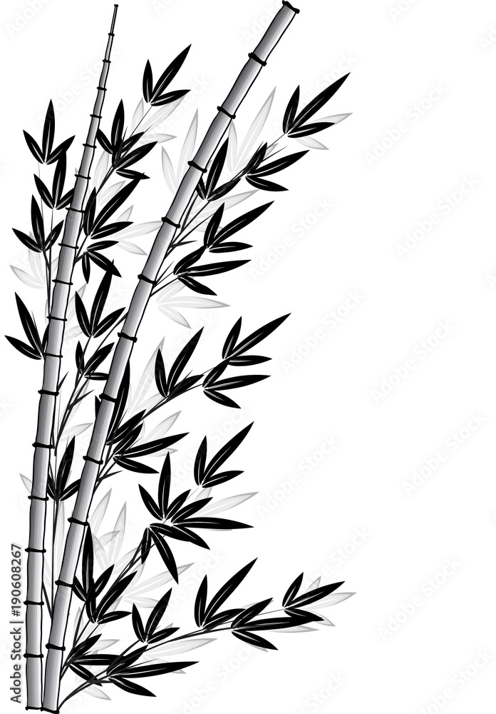 Fototapeta premium bamboo design