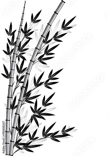 Fototapeta Naklejka Na Ścianę i Meble -  bamboo design