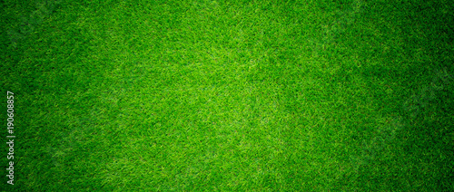 grass field background. green grass. green background