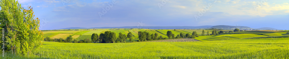 Panoramic landscape with green fields and trees. Europe, Poland, Holy Cross Mountains.