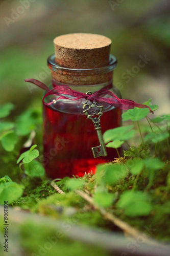 magic potion. red tincture in a glass bottle with a vintage key and a red ribbon in the grass clover. herbal natural tincture. magic potion.Homeopathy and alternative medicine