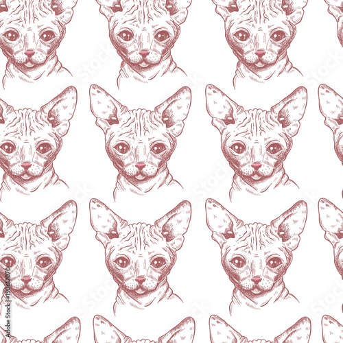 Seamless pattern with hand drawn sphynx cat