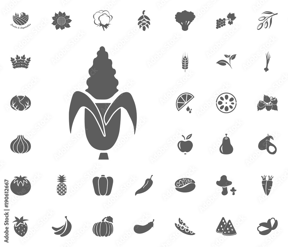 Corn icon. Fruit and Vegetables vector illustration icon set. food and plant symbols. Corn icon. Fruit and Vegetables vector illustration icon set. food and plant symbols.