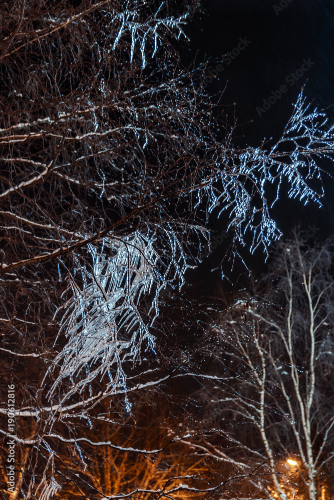 frozen icicles on tree branches night, close up picture