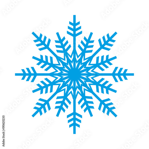 Snowflake vector icon