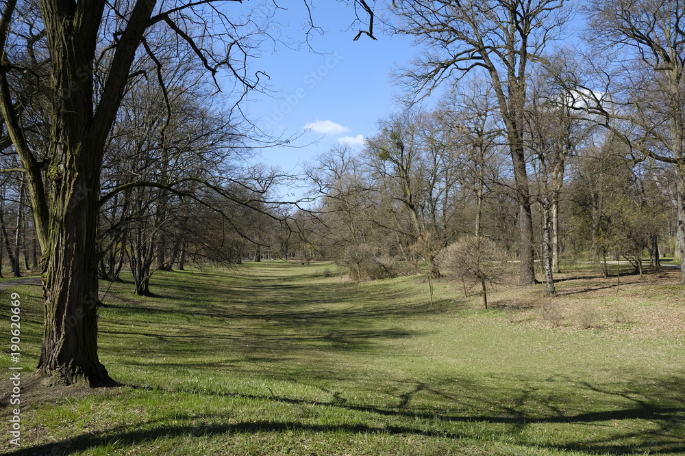 Naklejka premium Park