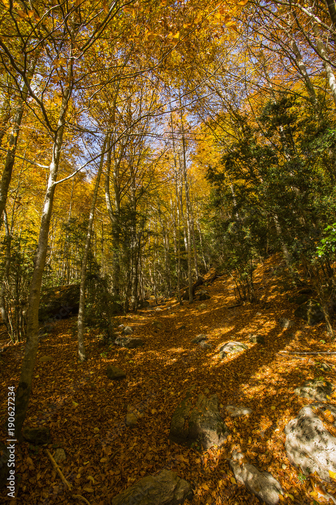 Fototapeta premium Otoño en los Pirineos