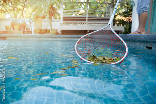 Woman cleaning swimming pool of fallen leaves with net
