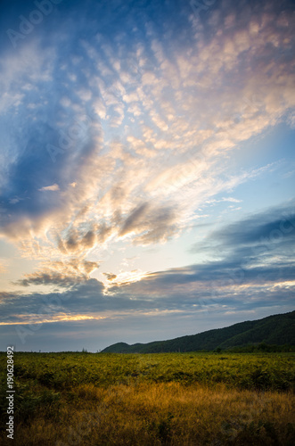 Vertical sunset landscape with the sun hidden behind beautiful swirly clouds