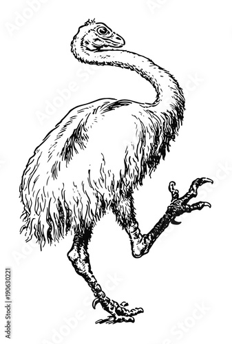 Urzeitlicher Emu Strauß - comic style - Primeval Emu ostrich