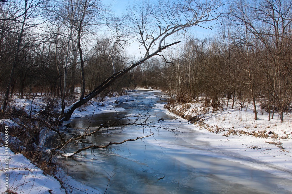 The frozen creek in the forest on a sunny cold day. The frozen creek in the forest on a sunny cold day.
