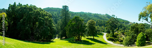 Green landscape