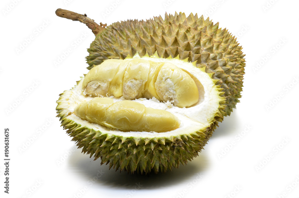 Fototapeta premium Durian fruit isolated on white background