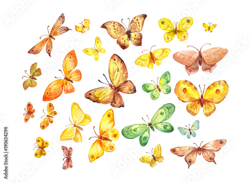 Many butterflies on white background. Watercolor illustration © Viktoriia Manuilova