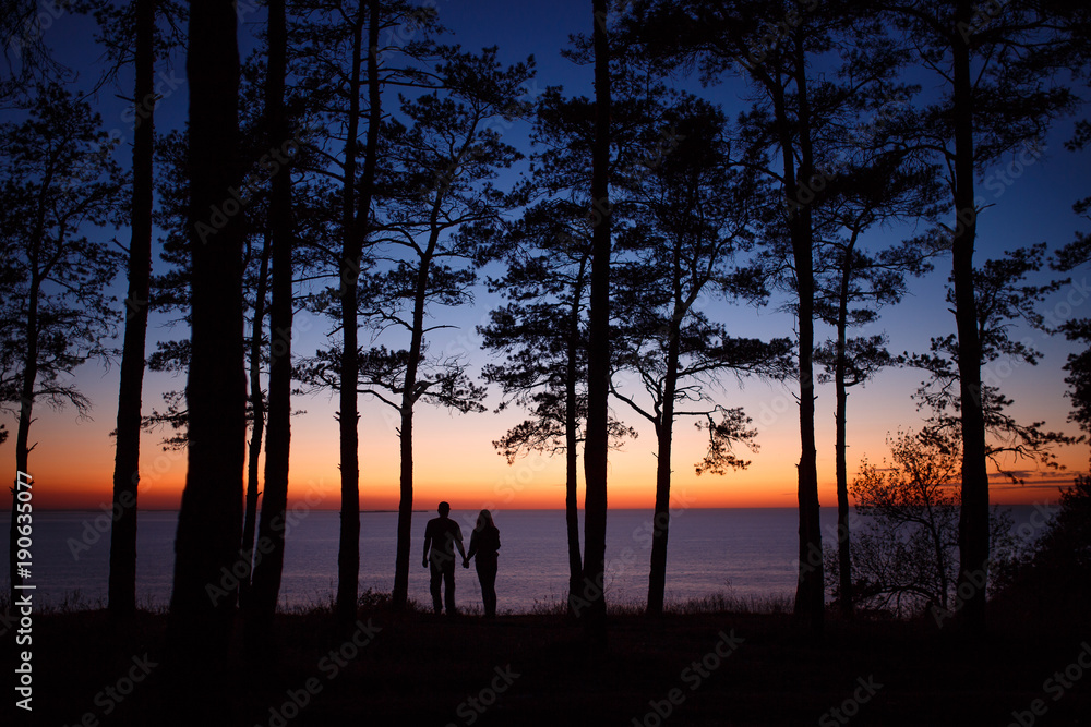 couple in love sunset sea forest