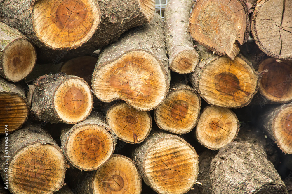 Background of dry chopped firewood logs stacked up on top of each other in a pile Background of dry chopped firewood logs stacked up on top of each other in a pile