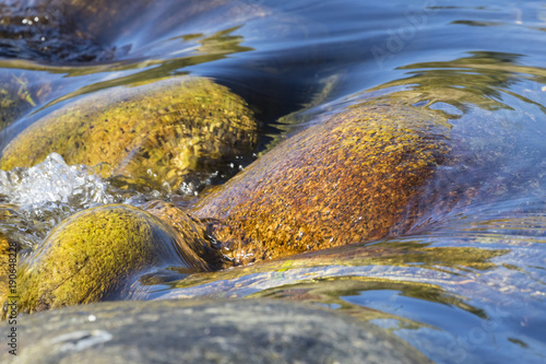 fresh water stream in mountain brook, close up photo