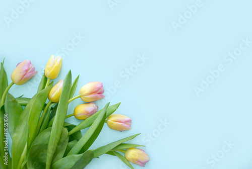 Fototapeta Naklejka Na Ścianę i Meble -  Spring flowers banner - bunch of pink tulip flowers on blue sky background. Flat lay, top view with copy space.