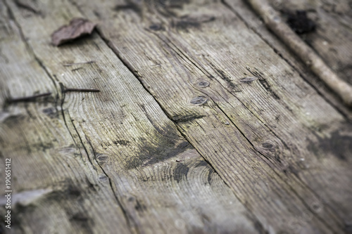 Old wooden texture or background, weathered rough structure.