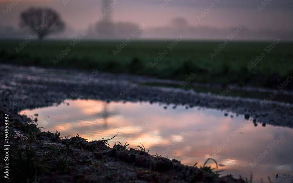 Obraz premium Puddle