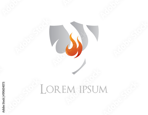 Shield flame logo