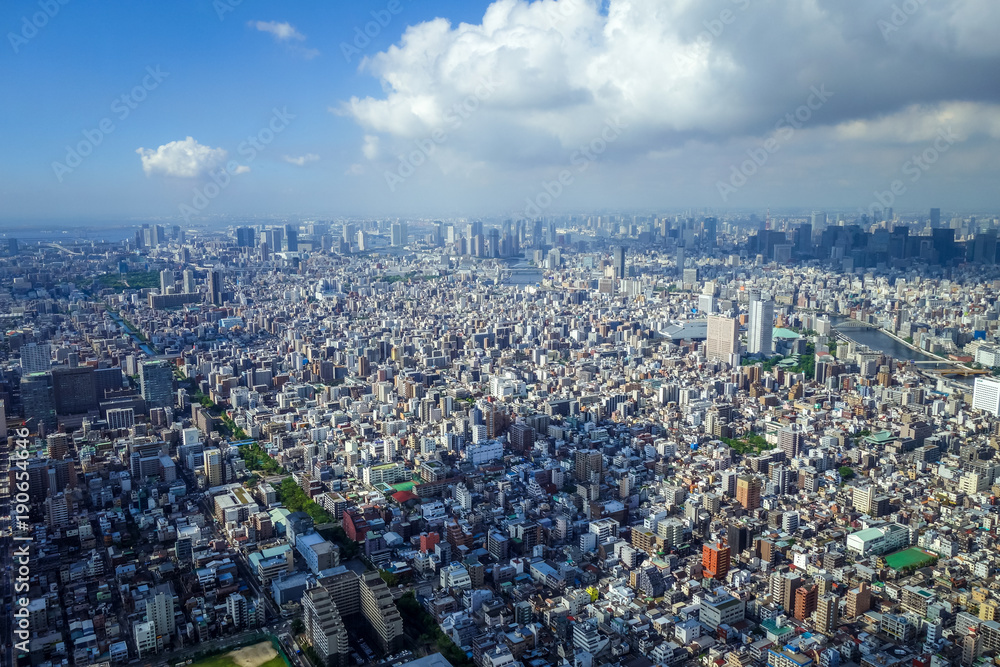 Fototapeta premium Panoramę miasta Tokio z lotu ptaka, Japonia