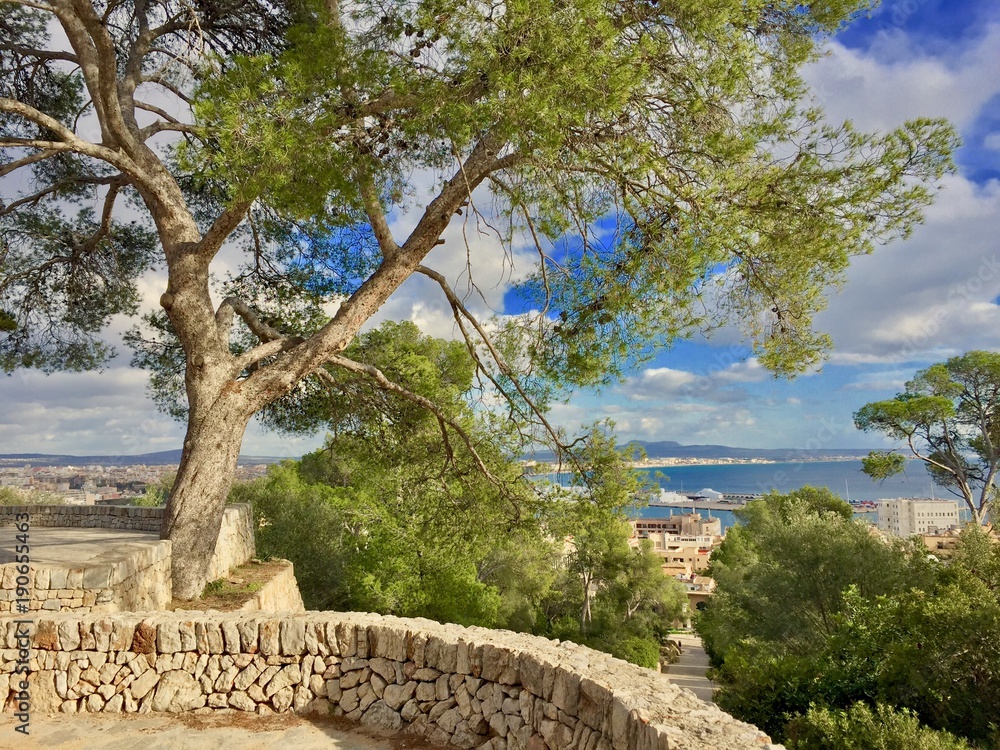 Landscape of Palma de Mallorca