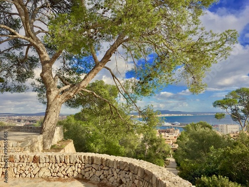 Obraz na płótnie Landscape of Palma de Mallorca w salonie