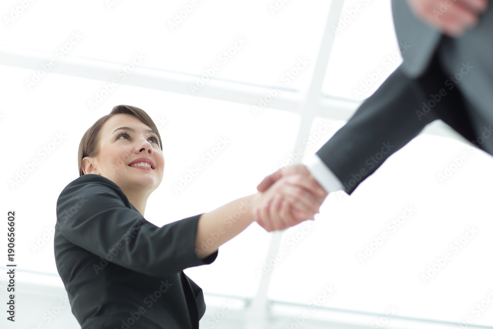 Business people shaking hands to seal a deal Business people shaking hands to seal a deal
